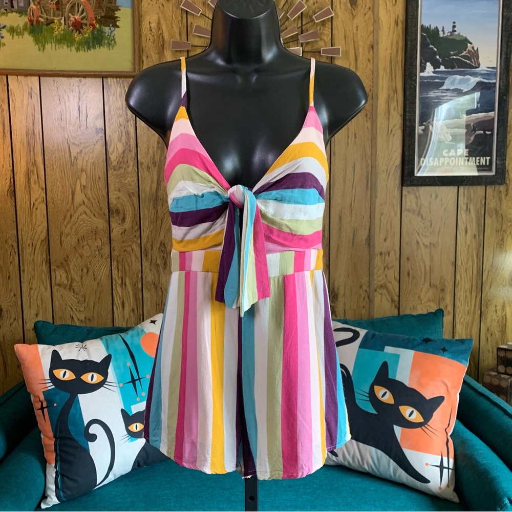 Wild Honey Colorful Striped Tie-Front Romper